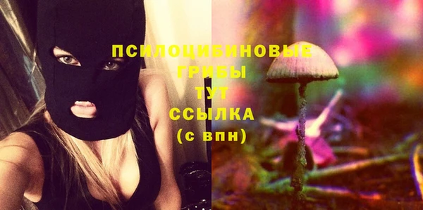 дурь Алексин