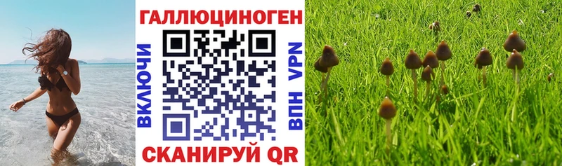 Галлюциногенные грибы мухоморы МЕГА вход Юрьев-Польский купить закладку